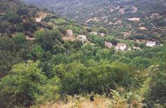 Βλησιδιά- Λεωνίδιο - Νότια Κυνουρία Βλησιδιά - Λεωνίδιο - Νότια Κυνουρία